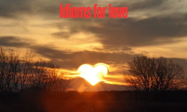 Idioms for love