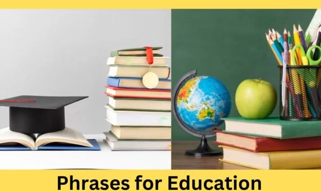 Phrases for Education